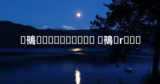 �鳵�۸������շ� �鳵�г���